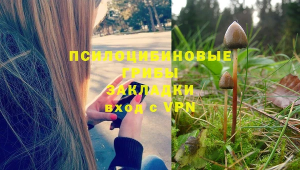 ГАЛЛЮЦИНОГЕННЫЕ ГРИБЫ Каменногорск