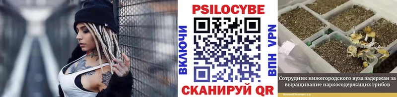 Купить где  Кудымкар  Галлюциногенные грибы прущие грибы 